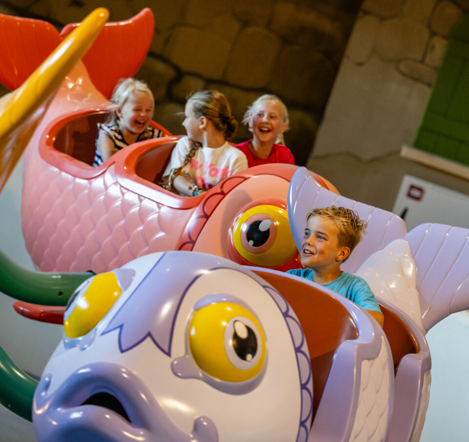 Attractie Vriendelijke Visjes - Indoor pretpark Bommelwereld