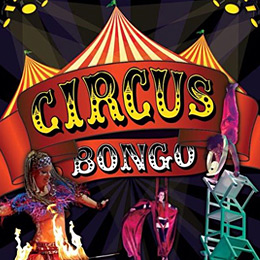 Circus Bongo